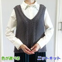 ●編み針セット●春夏毛糸 カポックコットンで編む透かし模様のVネックベスト 手編みキット ハマナカ 無料編み図 編み物キット