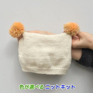 ●編み針セット●ねんねとメイクメイクで編むボンボンが可愛いベビー用帽子 手編みキット ハマナカ 赤ちゃん 編み図 編みものキット