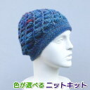 毛糸 メイクメイクで編むらせん模様の帽子 手編みキット オリムパス 無料編み図 編み物キット セット