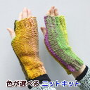 毛糸 野呂英作のくれよんで編む横編みの指なし手袋 手編みキット 無料編み図 編み物キット セット