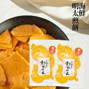 せんべい 訳あり 1000円ポッキリ 食品 送料無料 明太 2袋 セット えびせん 1000円 ポッキリ ワケあり 産直 お試し おつまみ お菓子 ギフト 煎餅...