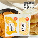 訳あり 明太せんべい 1袋 のどぐろせんべい 1袋 ×【2 セット 】 送料無料 アウトレット お菓子 グルメ お取り寄せスイーツ ギフト 菓子 ポイント消化 取り寄せ わけあり せんべい 煎餅 和菓子 ギフト 詰め合わせ 誕生日 お礼 お試し わけあり われせん われせんべい