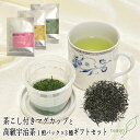 茶こし付きマグカップと朝 昼 夜茶の1煎パック各1袋のギフトセット【宅配便】母の日 御礼 お返し お誕生日 お茶 日本茶 ギフト 誕生日 茶こし(3段階に高さが変更可能) 便利 個包装 宇治茶 高級緑茶 蓋付き 陶器 送料無料 甘くない