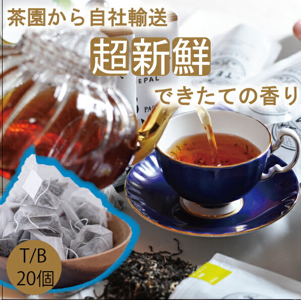 2023年新茶【ほんものの紅茶　青　ティーバッグ（20個）業務用透明袋】　イラム紅茶　シャングリラ茶園園　ネパール紅茶　水出し紅茶にも最適