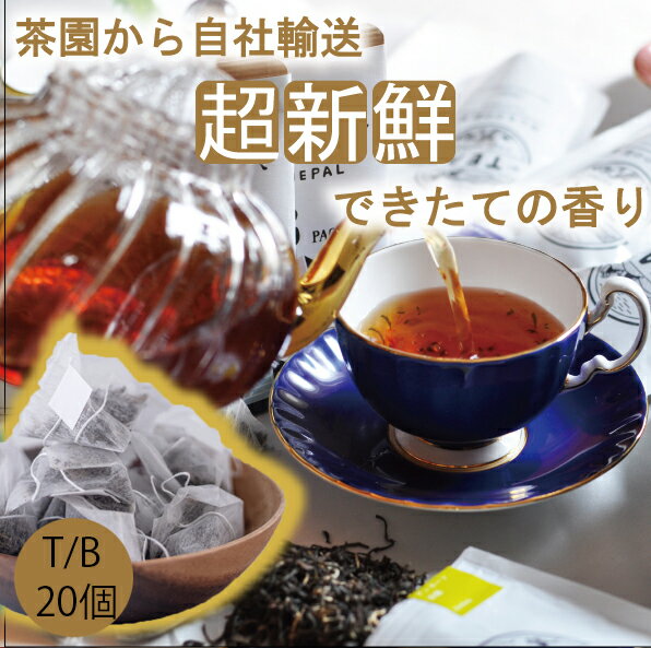 2023年新茶【ほんもの