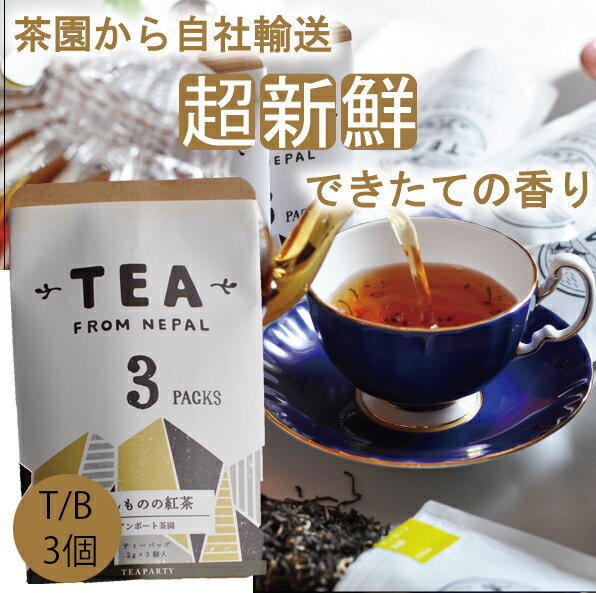 【無農薬】【ほんものの紅茶　黄　ティーバッグ（3個）チャック袋】　イラム紅茶　アンボート茶園　ネ..