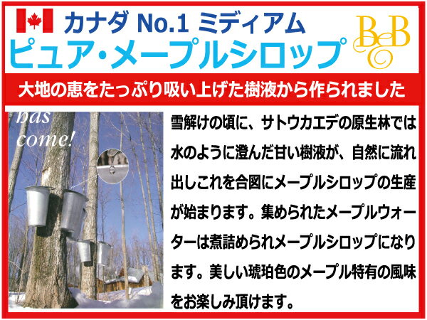 【1ケース】信州須藤農園　100%フルーツ ストロベリー スドージャム　350g　6個入