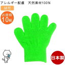 【P2倍】カラー軍手 子供用 幼児 キミドリ 10組セット 今治タオル綿100% 日本製 カラー手袋 子供軍手 子供手袋 こども軍手 こども手袋 キッズ 子ども アトピー アレルギー 敏感肌 大量 まとめ買い<br>キャンプ・防災・運動会・カラフル・かわいい