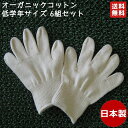 オーガニックコットン手袋 小学校低学年 6組セット 今治タオル綿100% 日本製 無漂白 無染色 未晒 GOTS アトピー アレルギー 手指消毒手荒れ 乾燥肌 ...