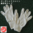 【P5倍】オーガニックコットン手袋[小学校高学年][今治タオル綿100% 日本製][GOTS認証]アトピー・アレルギー・手指消毒手荒れ・乾燥肌の保湿ケアに・キッズ・子供