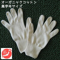 オーガニックコットン手袋[小学校高学年][今治タオル綿100% 日本製][無漂白][GOTS...