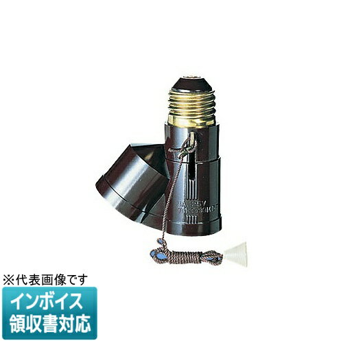 乐天商城 - [法人限定] WH1021PK パナソニック 2号新国民ソケット P [ WH1021PK ]