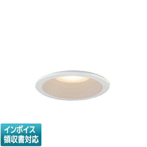 Ǽ̤[ˡ͸] EL-D0406L 1LN ɩ  饤 ɱ  100 ŵ忧 [ EL-D0406L1LN ]