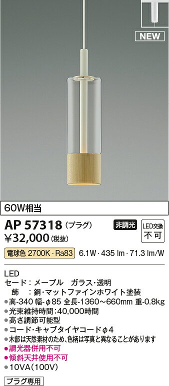 [法人限定] AP57318 コイズミ KOIZUMI ペンダント 白熱球60W相当 非調光 電球色 [ AP57318 ] [2]