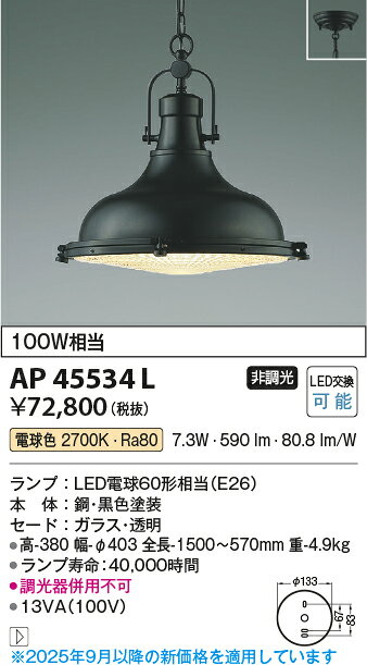 [法人限定] AP45534L コイズミ KOIZUMI ペンダント 白熱球100W相当 非調光 電球色 [ AP45534L ] [2]