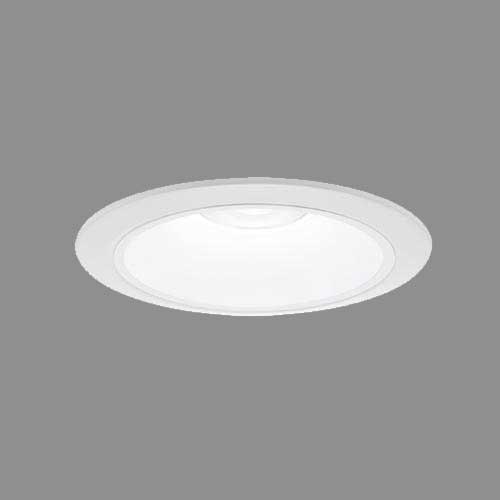 [ˡ�͸���] XND1559WW LE9 �ѥʥ��˥å� ŷ������� LED �� ������饤�� [ XND1559WWLE9 ]