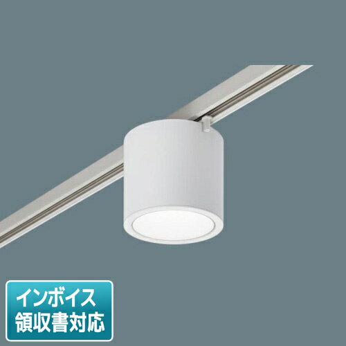 [法人限定] NCN19300W LE1 パナソニック ※受注品 スポットライト 天井直付 配線ダクト取付型 昼白色 小..