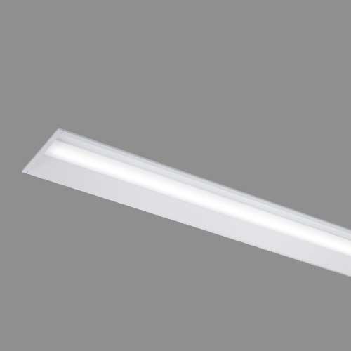 [法人限定] LEKR422203L-LS9 [ LEKR422203LLS9 ] 東芝 TENQOO 40W
