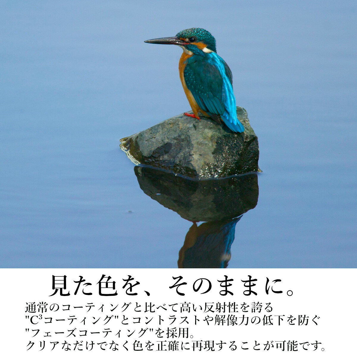 KOWA�å����� �д����BDII���꡼����BDII32-10XD��10�ܡ��ɿ�