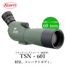 KOWA｜コーワ スポッティングスコープ TSN-601〈傾斜型〉※アイピース別売り