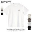 国内正規品 Carhartt WIP カーハート ダブリュー アイピー S/S AMERICAN SCRIPT T-SHIRT ショート スリーブ アメリカンス クリプト Tシャツ ストリート メンズ レディース 半袖 I029956