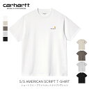 国内正規品 Carhartt WIP 