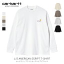 国内正規品 Carhartt WIP カーハート ダブリュー アイピー L/S AMERICAN SCRIPT T-SHIRT ロング スリーブ アメリカン スクリプト Tシャツ 新作 2023 ストリート ファッション カジュアル メンズ レディース 長袖 ロンティー 男女兼用 I029955