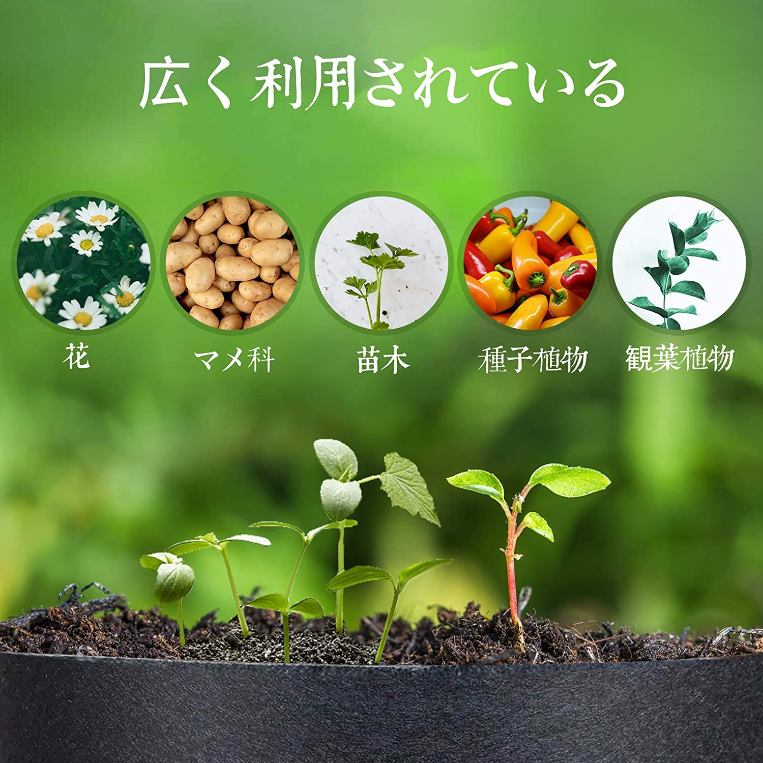 5個セット 10ガロン プランター 布鉢 栽培...の紹介画像3
