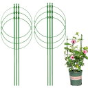 園芸用品支柱 盆栽用 植物支柱 観葉支柱 植木鉢サポートセット リングガーデントレリスフラワーステンレススチールサポート