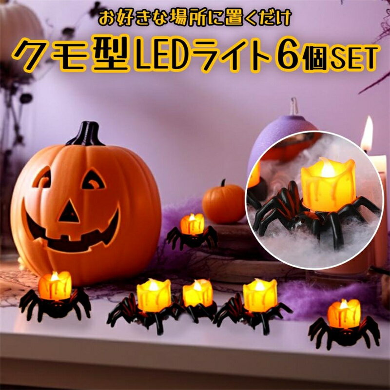 LED �ϥ������� ���� 6�ĥ��å� ���� �ϥ��������� �����դ� ����ƥꥢ ��ʪ ����