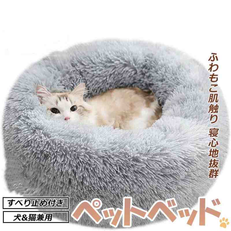 �ڥåȥ٥åɸ����� ǭ���� �դ�դ� ���� �ڥå� �٥å� �߿��� ���� ǭ�� �������� ���� ���ߤ� ¿��ǽ �Ȥ��� �ޥå� ������