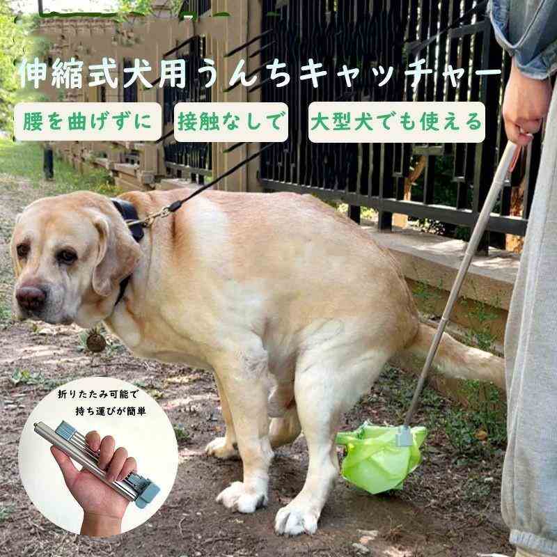 犬用トイレ 容器 フンキャッチャー うんちキャッチャー アウトドア 犬 散歩 簡単洗浄 自然乾燥 ペット用品 環境に優しい 消耗品 水洗浄 トイレトレーニング