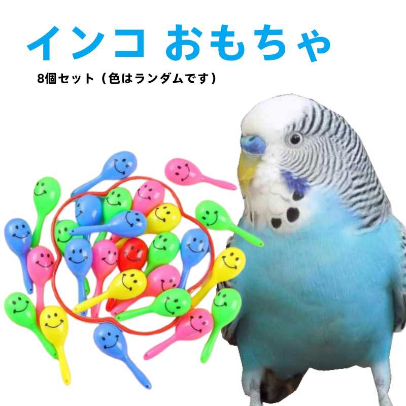 Rakuten - 8個セット（色はランダムです） インコ おもちゃ マラカス おもちゃ 鳥 インコグッズ 鳥用おもちゃ 玩具 小鳥 文鳥 かじる 鳥用品 鳥グッズ バードトイ ネオンマラカス
