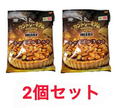 2個セット　カントリーマアム ミニ キャラメルタルト マツキヨ ココカラ 限定 限定販売 不二家 fujiya 埼玉倉庫