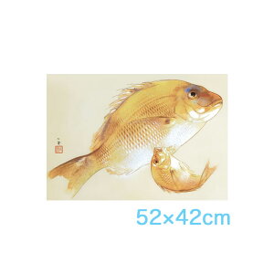  Բġ䥢ȳ۳  ˱ G4-BN045 ̹ݲ F6 5242cm   ܤ̾ դ ƥꥢ 