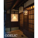 ペンダントライト ODELIC 簡易防雨型 ポーチライト 和風照明 オーデリック おしゃれ 昭和 レトロ モロッコ風 電球色 LEDランプ R15高演色LED 白熱灯60W相当 OP252624LCR