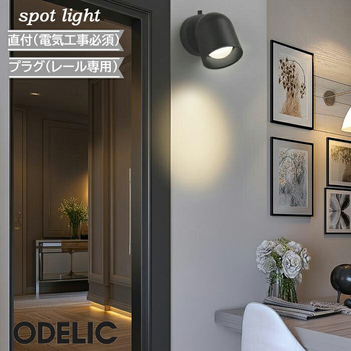 乐天商城 - スポットライト オーデリック マットブラック マットホワイト 黒 白 LED一体型 led 電球色 直付 プラグ ダクトレール シンプル 人気 コンパクト かわいい 北欧 ナチュラル インダストリアル 小型 丸形 白熱灯60W相当 リビング ダイニング 壁面 天井面 傾斜面 兼用
