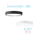 小型シーリングライト オーデリック Bluetooth 調光 調色 (※リモコン別売) φ300 オフホワイト ブラック 小型 薄型 コンパクト 白 黒 電球色...