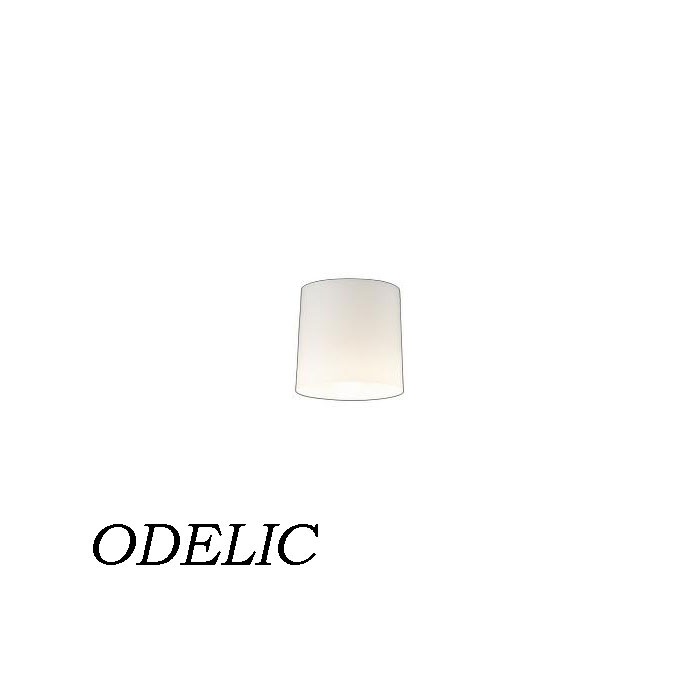 ���� ������󥰥饤�� �ŵ忧 ���� ���� ŷ��ľ�վ��� �����ǥ�å� �� �� ������� ODELIC ��Ǯ��60W���� ������� ����ץ� ���襤�� �ȥ�...