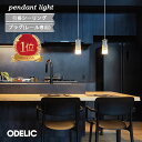 ペンダントライト ODELIC アクア ミスト おしゃれ 人気 おすすめ ガラス 吊り下げ ダイニングテーブル トイレ キッチン リビング ダイニング 電球色 昼白色 温白色 LED 白熱灯60W相当 AQUA Mist プラグ ダクトレール 引掛けシーリング OP252547LR OP252548LR