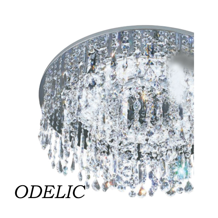 ǥꥢ ODELIC  ͵  ǥå 10 ꥹ륬饹 Ǥ 쥬 ץꥺ५å ꥹ륬饹 䤭 OC257168BCR