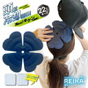 ミズケイ アイスジェルパッド「REIKA」 NEO 冷花【5枚入】熱中症対策