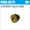 注入ポンプ GNS-32用メクラネジ（Oリング付）