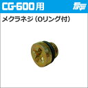 注入ポンプ CG-600用メクラネジ（Oリング付）