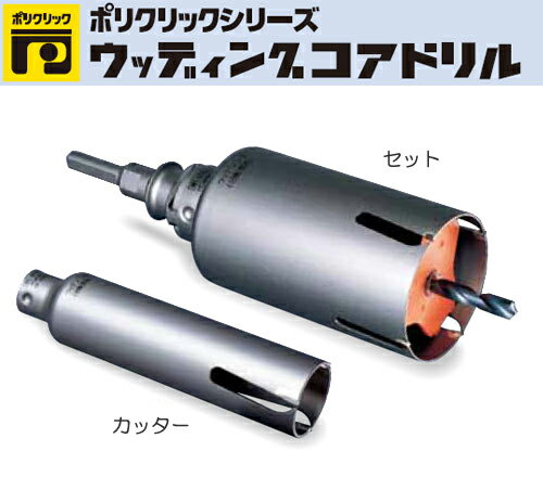 ミヤナガ　［PCWS220R］　ウッディングコアドリル（セット） SDSシャンク 220mm×160mm（有効長130mm）