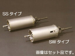 【IKEDA】（イケダ）　［WT075SW］　ワンタッチダブルコア　SWタイプ　有効長:100mm セット 75φ