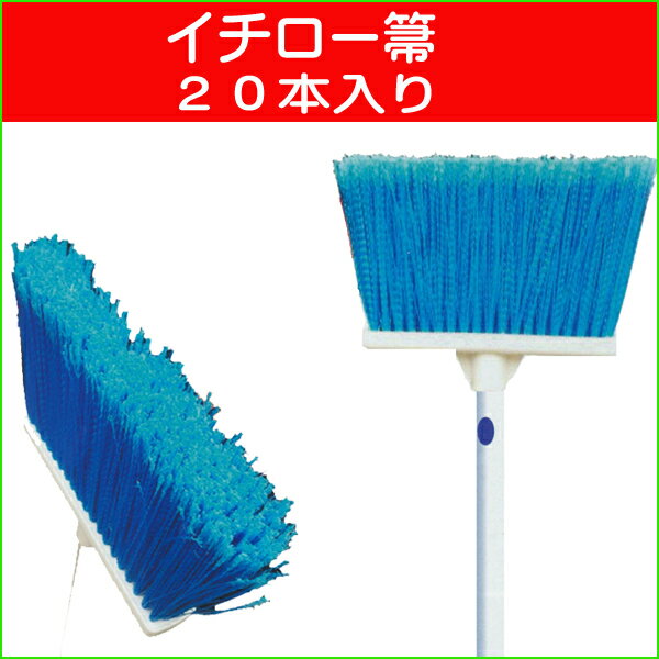 䶡24ӤŤ줷ƤơĹݤƤˤ֤ۤפǤ
