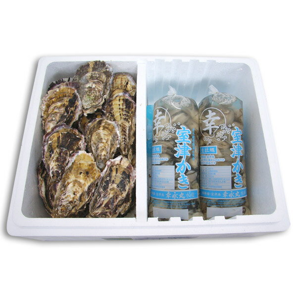 【代引不可】　漁師直送！　特大サイズ播磨灘産の牡蠣（かき） 幸永丸水産　【殻付き2.2kg・むき身500g×2本】(加熱用) 朝採れ新鮮かき発送のサムネイル