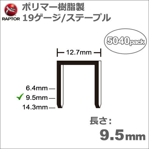 ［アメリカ］　ラプター　(RAPTOR)　［S/05-37］　Omer 81P　タッカ用　ポリマー樹脂製ステープル　19ゲージ　長さ9.5mm/太さ1.4×1.1mm　(5040本入り)