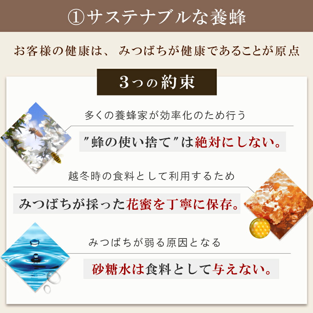 マヌカハニー ギフト Dセット（ストロングマヌカハニーMGO860+/インカナムマヌカハニーMGO550+ 各 500g スプーン セット） 送料無料 ギフト プレゼント 内祝い はちみつ 蜂蜜 500g ニュージーランド ギフトセット TCN SMN3155-500GD